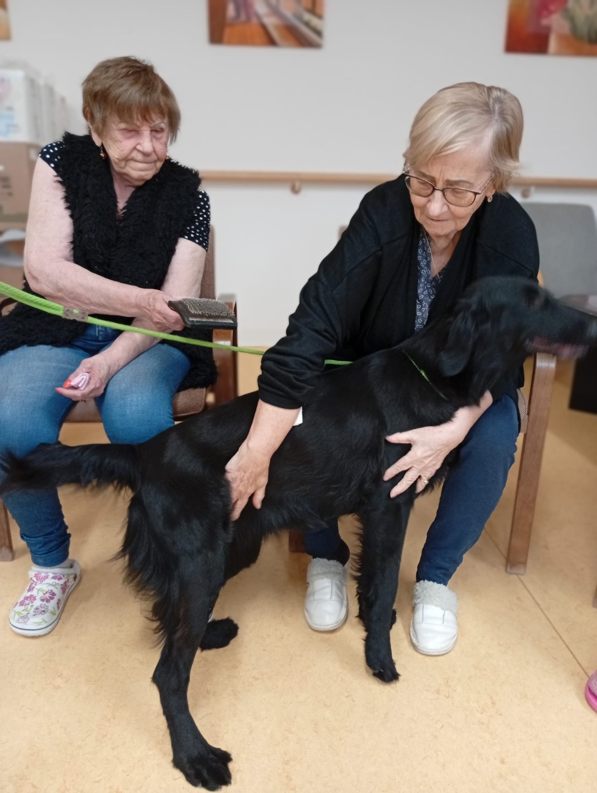 Canisterapie - klapka počtvrté