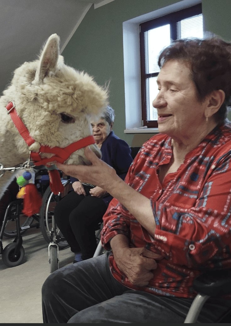 Zvířecí návštěva v SCO