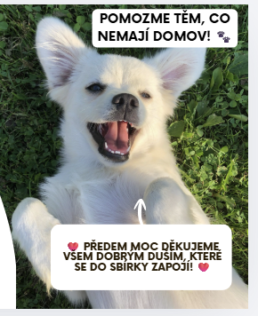 Velká psí sbírka
